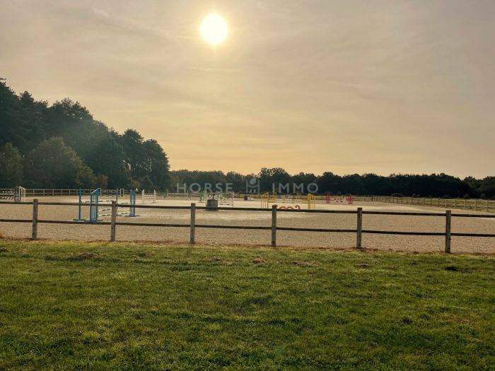 Centro di stagione cavallo In vendita Loiret