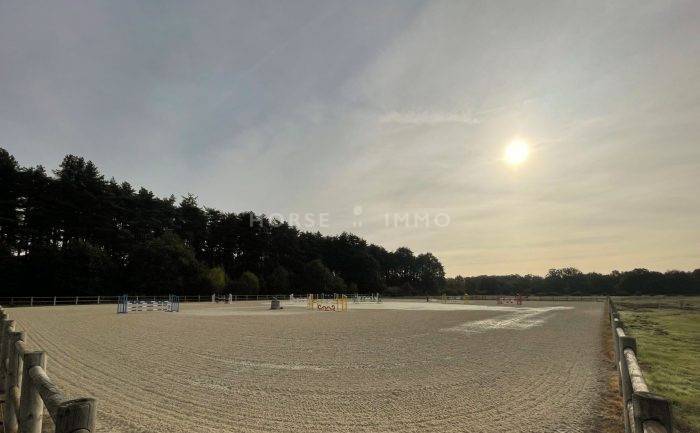 Centro di stagione cavallo In vendita Loiret