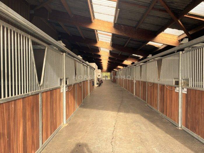 Centro di stagione cavallo In vendita Loiret