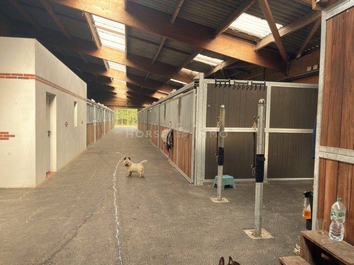 Centro di stagione cavallo In vendita Loiret
