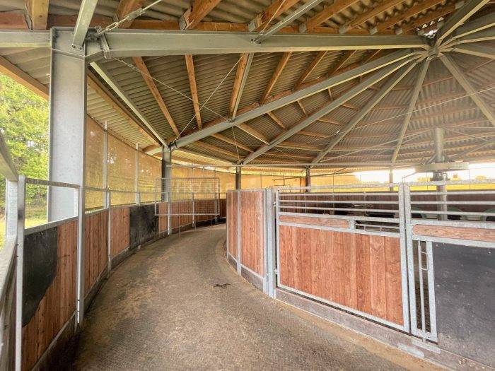 Centro di stagione cavallo In vendita Loiret