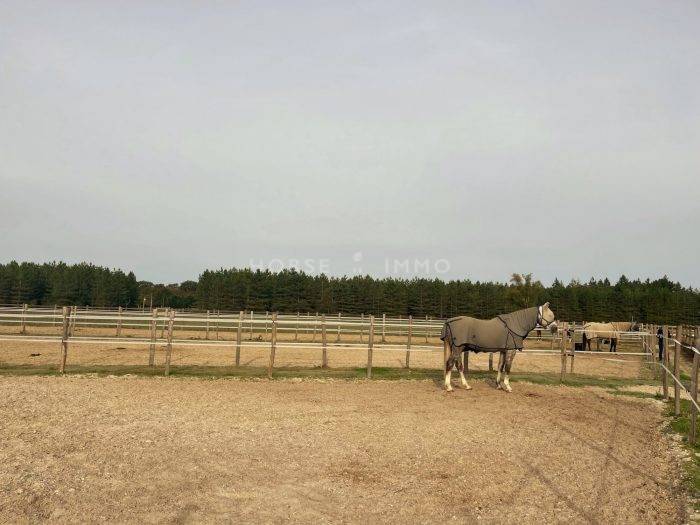 Centro di stagione cavallo In vendita Loiret