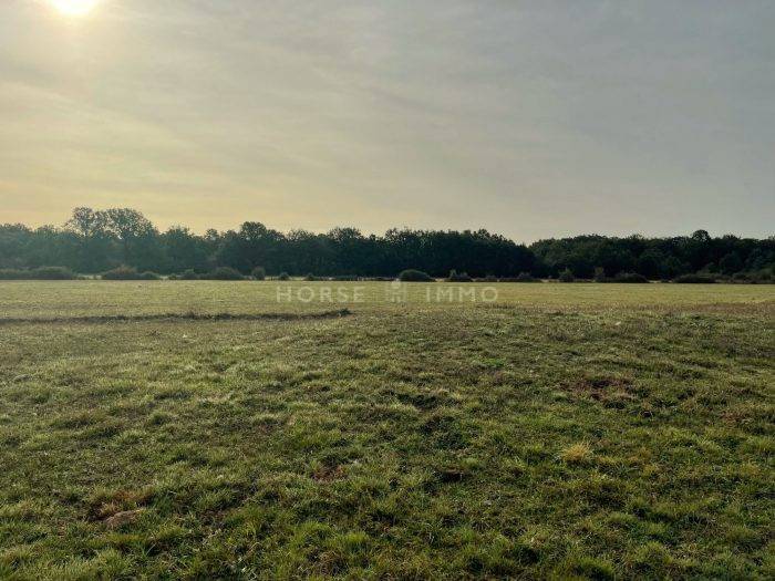 Centro di stagione cavallo In vendita Loiret