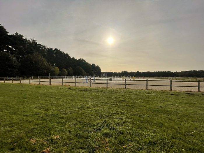 Centro di stagione cavallo In vendita Loiret