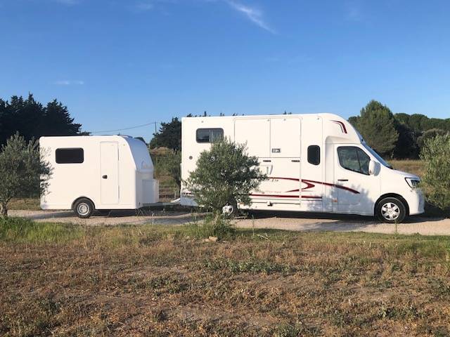 Van per Cavalli Trans Box Svelto et sporting  2023 Nuovo