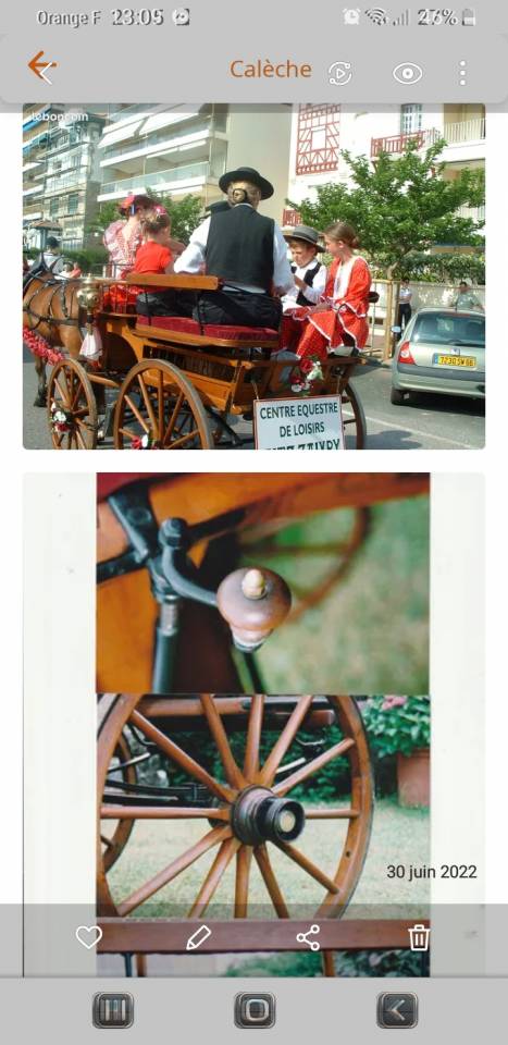 Attacchi - Break  Bernois Suisse 1880 