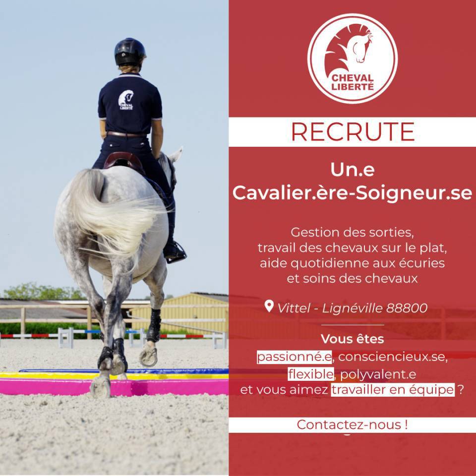 Cavaliere, CSO - CDI Tempo pieno - Vosges Francia