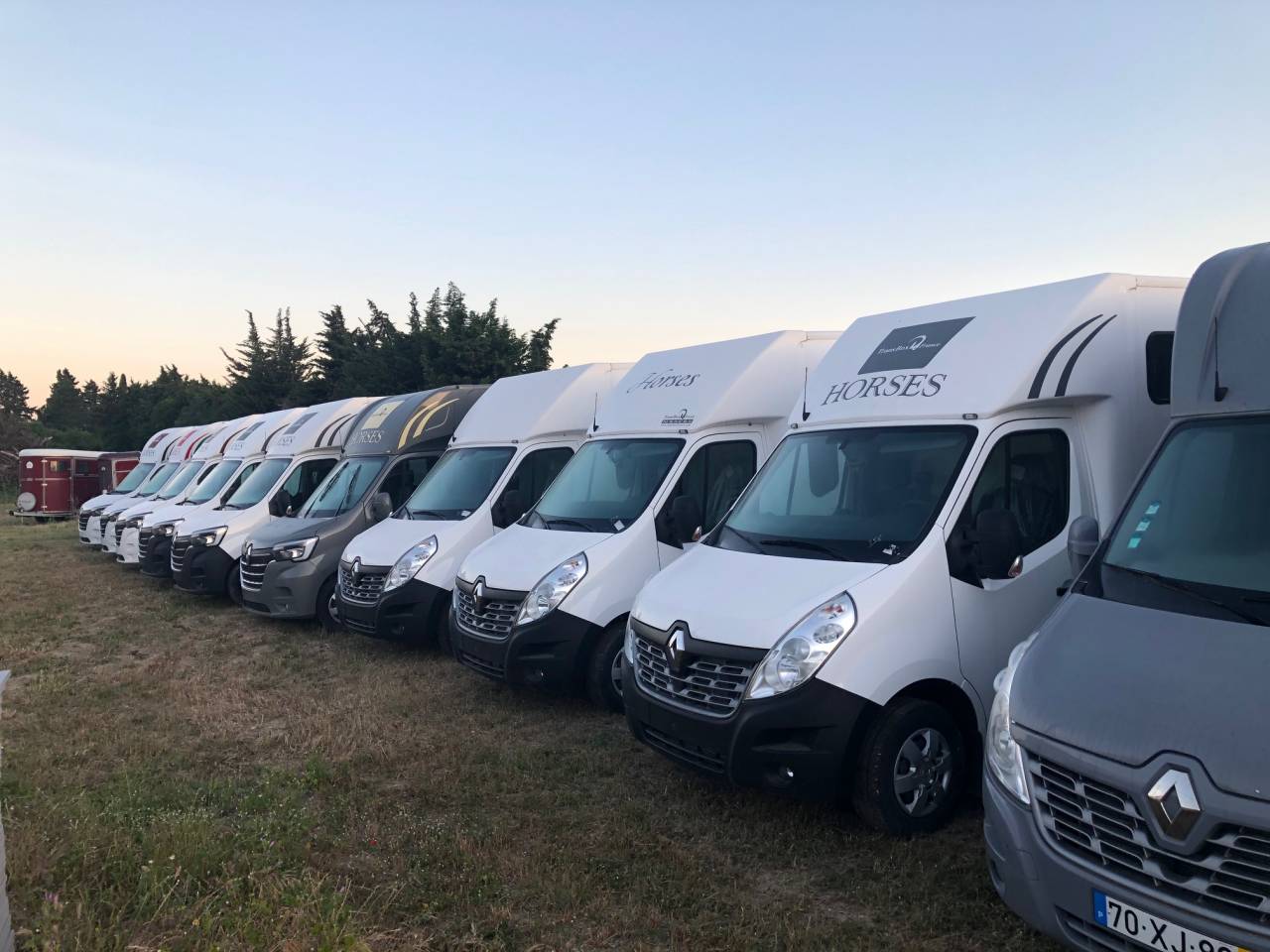 Van per Cavalli Trans Box NEW SVELTO 2023 Occasione