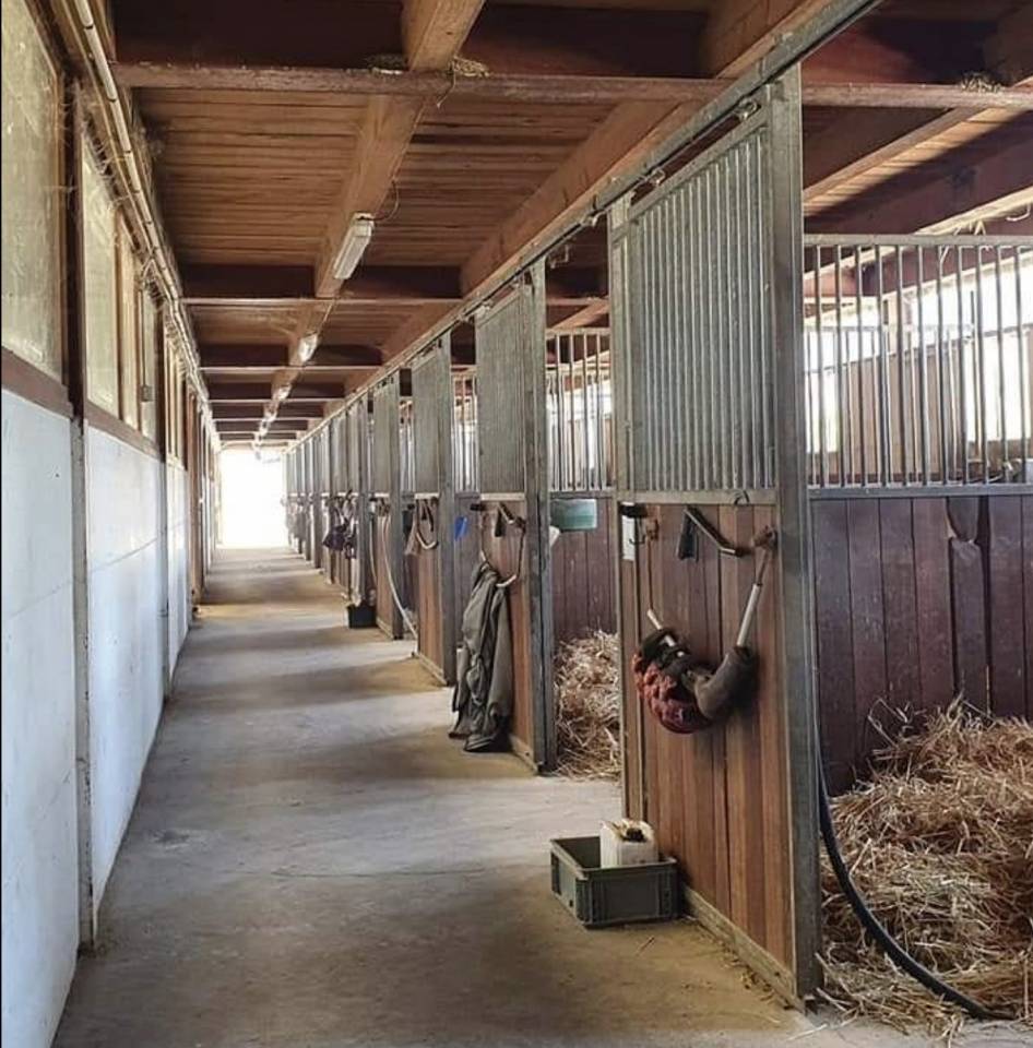 Scuderia per proprietari In vendita Haute-Savoie