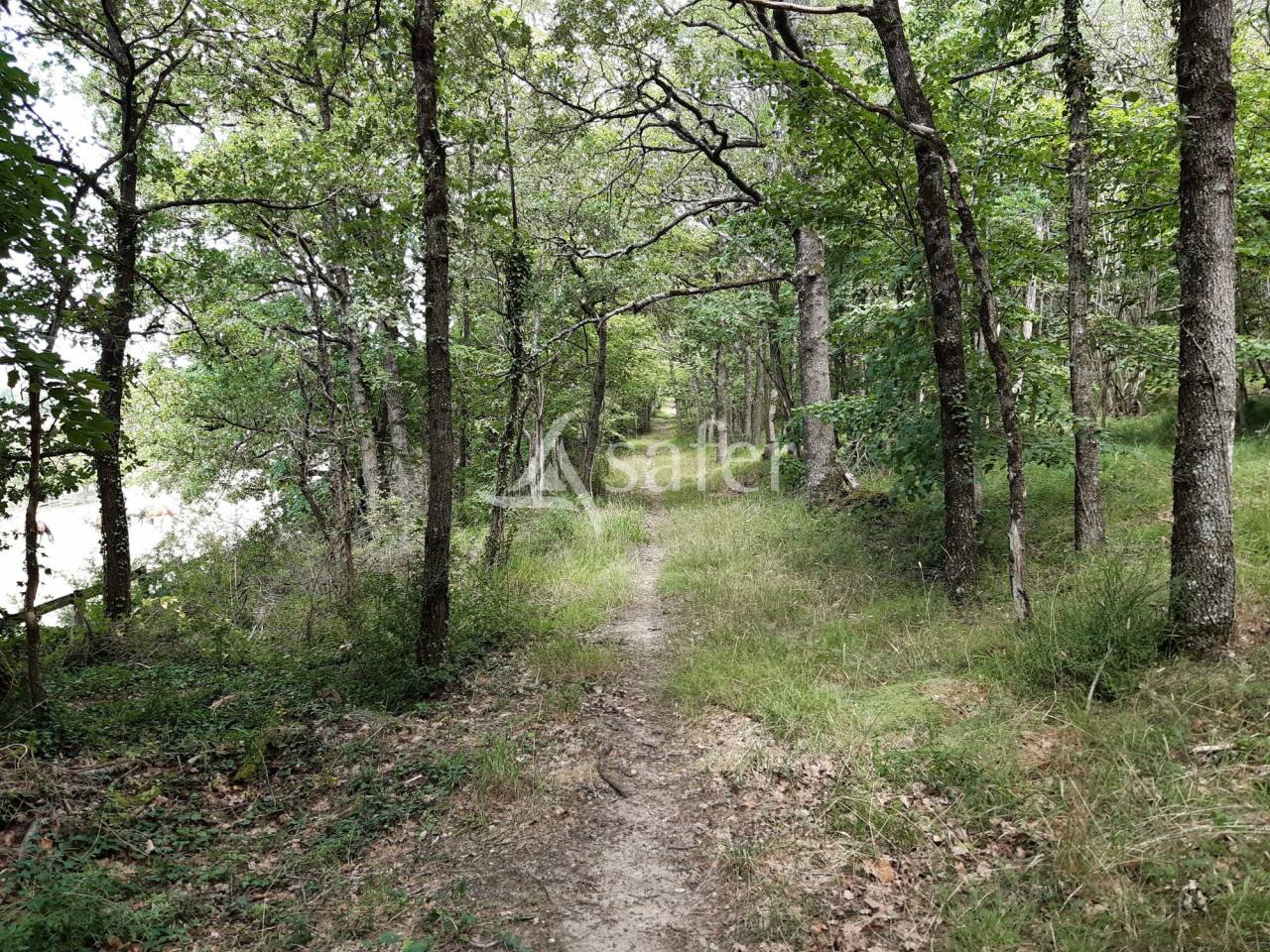 Proprietà equestre In vendita Vienne