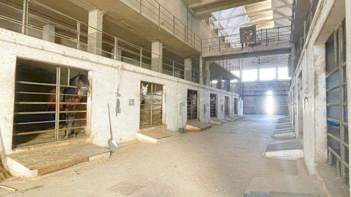 Proprietà equestre In vendita Bouches-du-Rhône