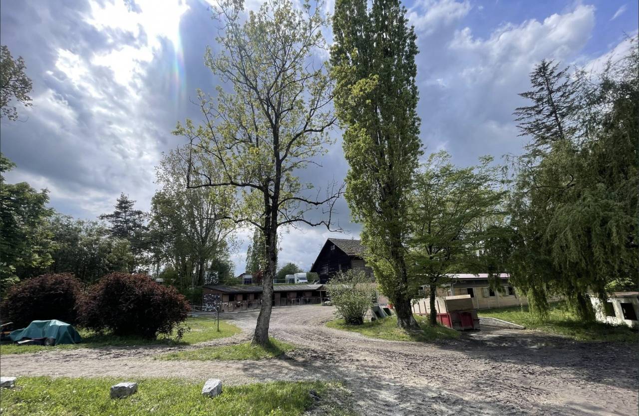 Centro ippico In vendita 