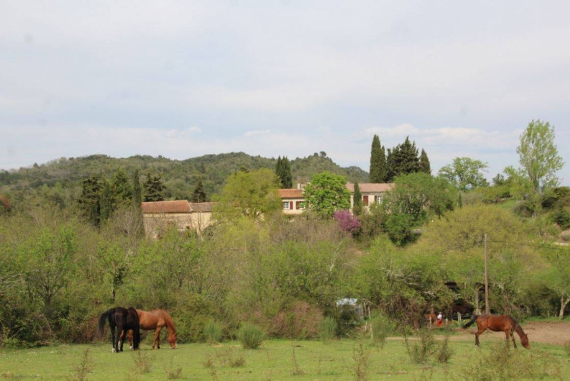 Alloggio equestre In vendita Aude