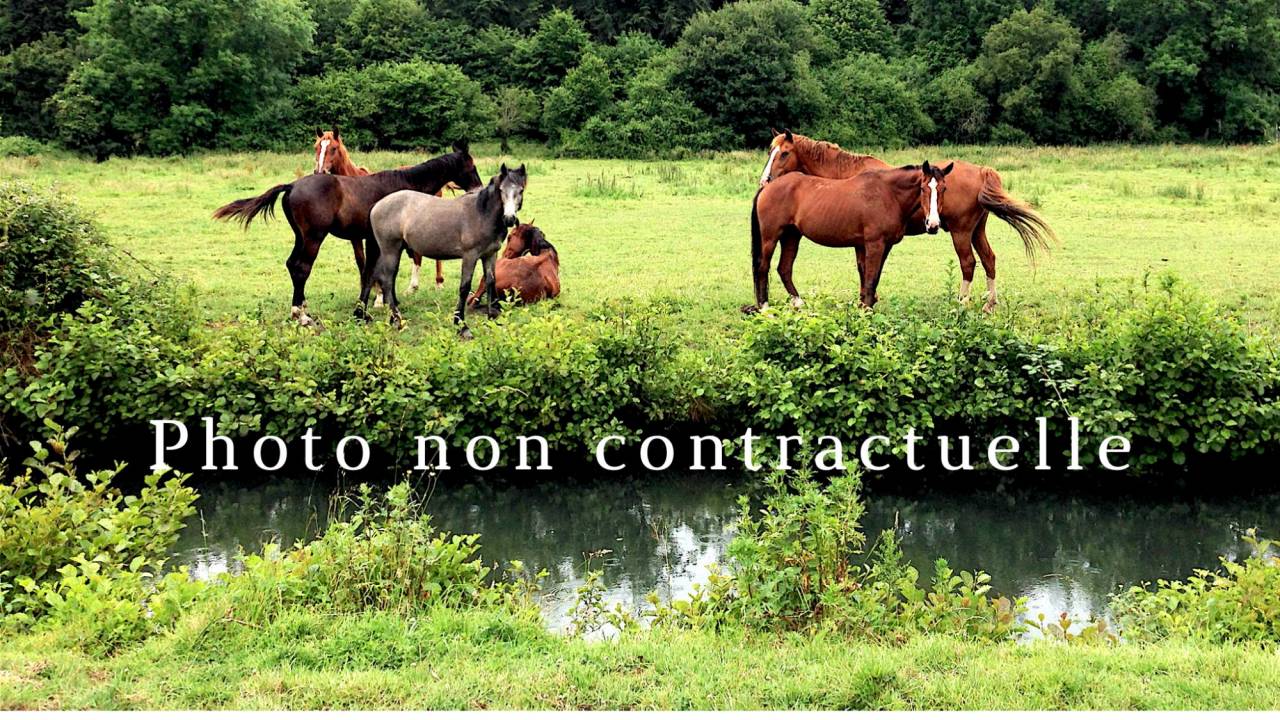 Proprietà equestre In vendita 