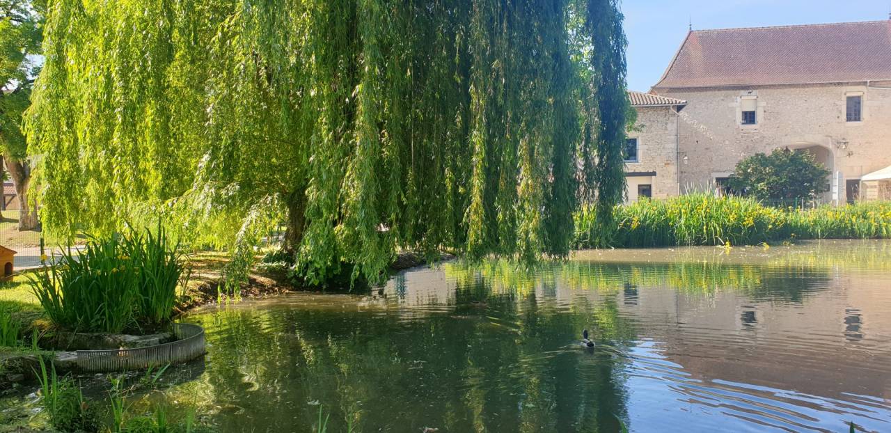 Proprietà equestre In vendita 