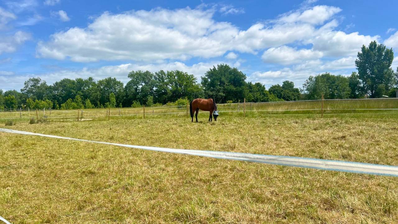Centro ippico In vendita Lot-et-Garonne