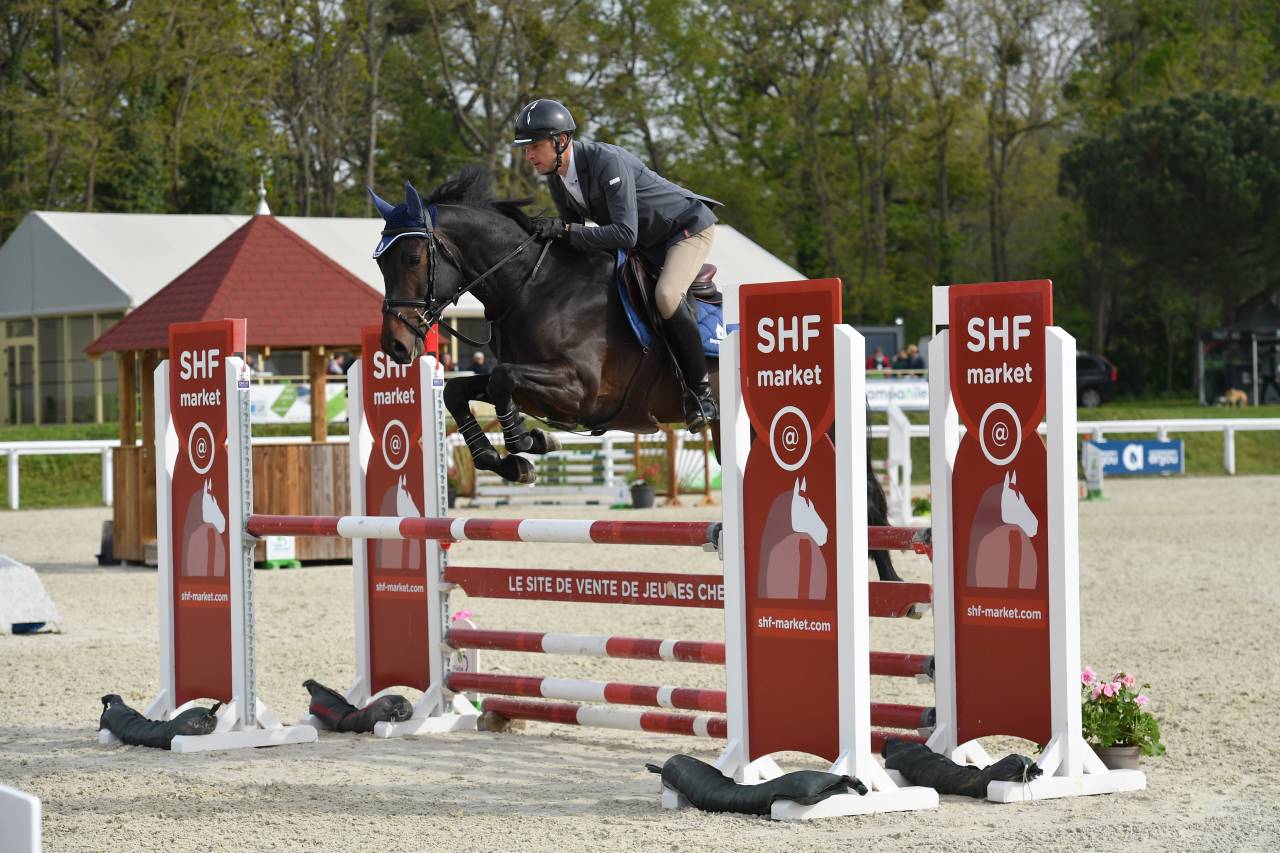 Jaguar d'hebene  - Sella Francese 2019 ,  montender