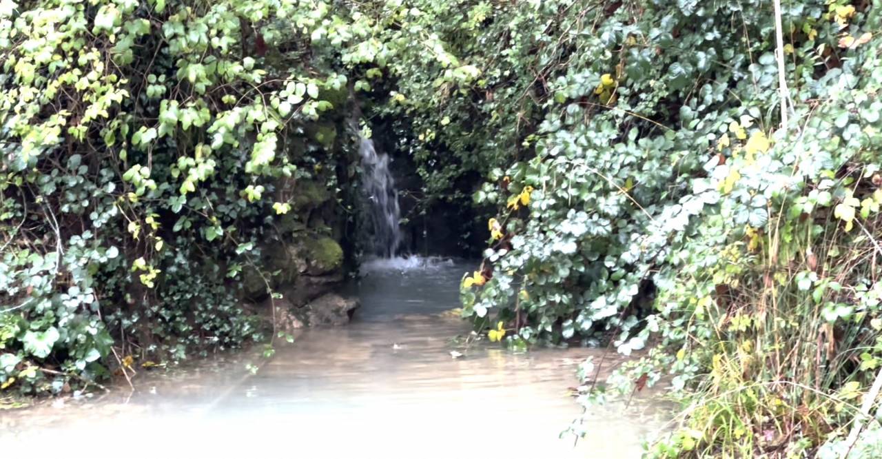 Proprietà equestre In vendita Ain