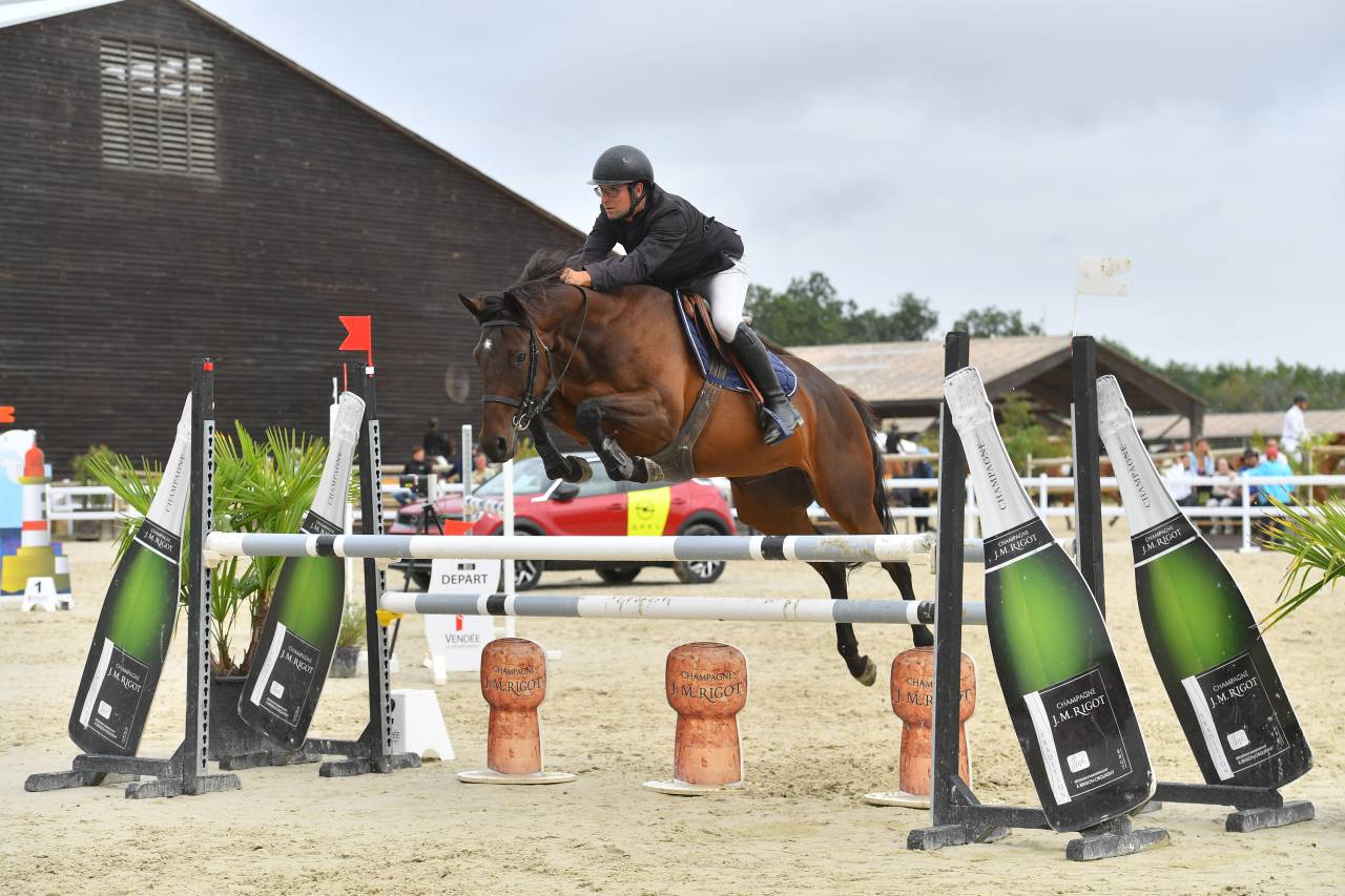 Cavalla AQPS In vendita 2018 Baio