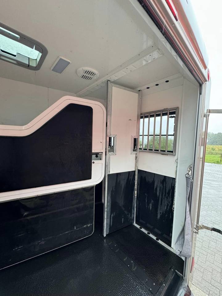 Camion per Cavalli STX trailer 2021 Occasione