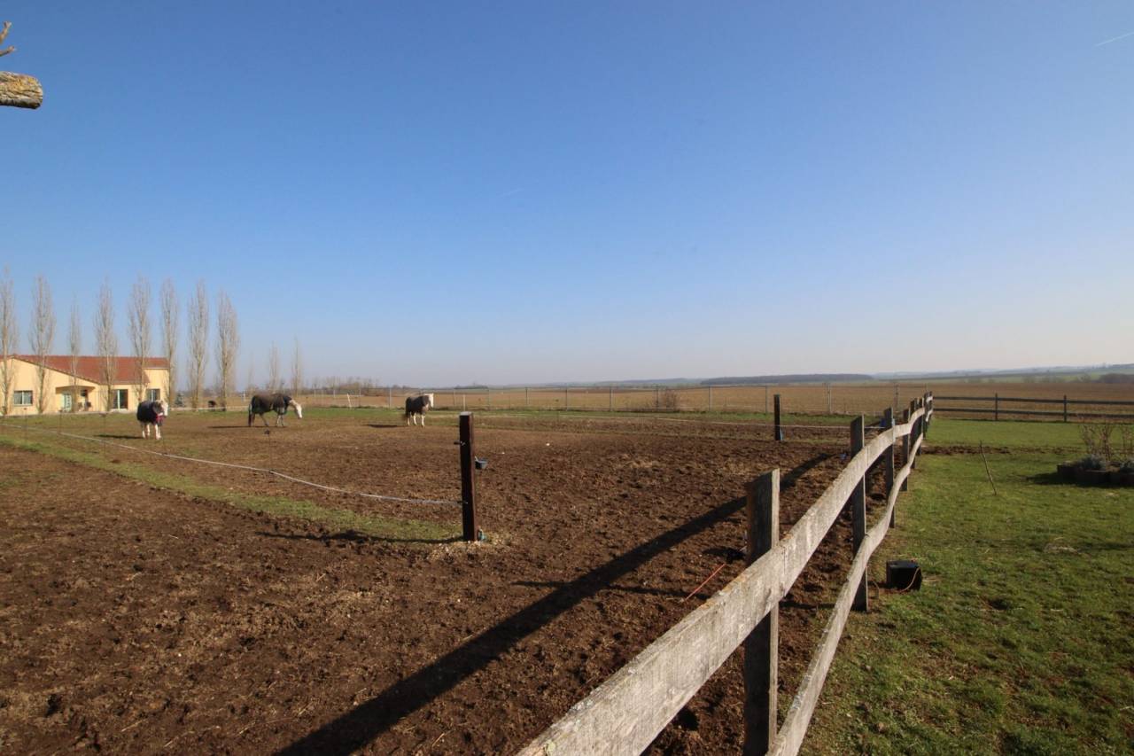 Proprietà equestre In vendita Meurthe-et-Moselle