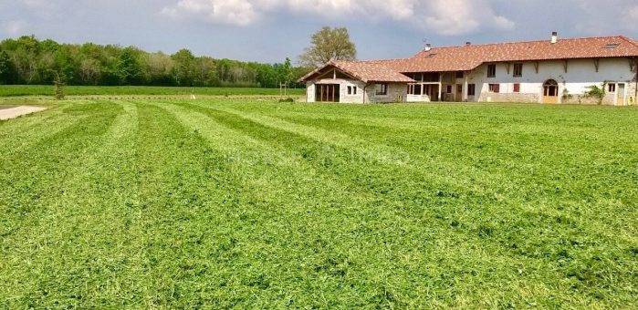 Proprietà equestre In vendita Ain