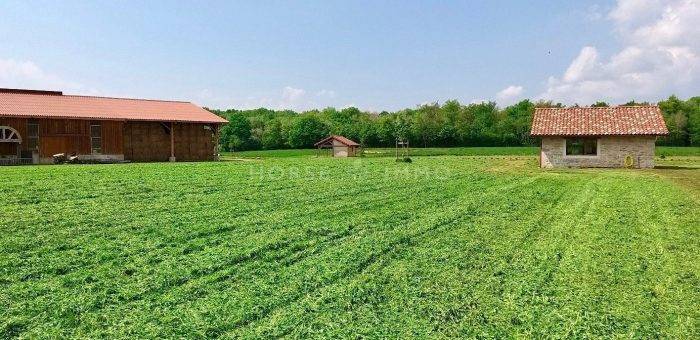 Proprietà equestre In vendita Ain