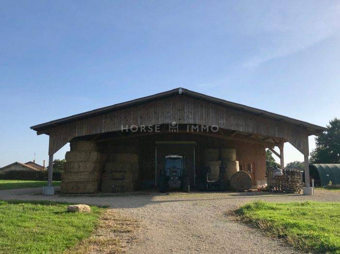 Proprietà equestre In vendita Ain