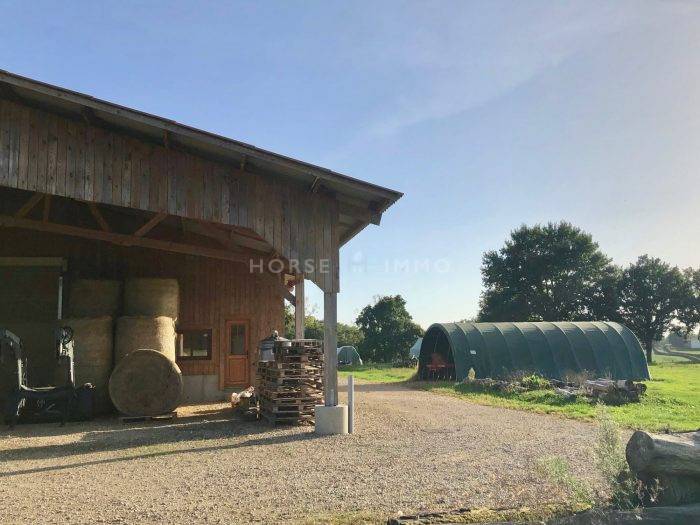 Proprietà equestre In vendita Ain