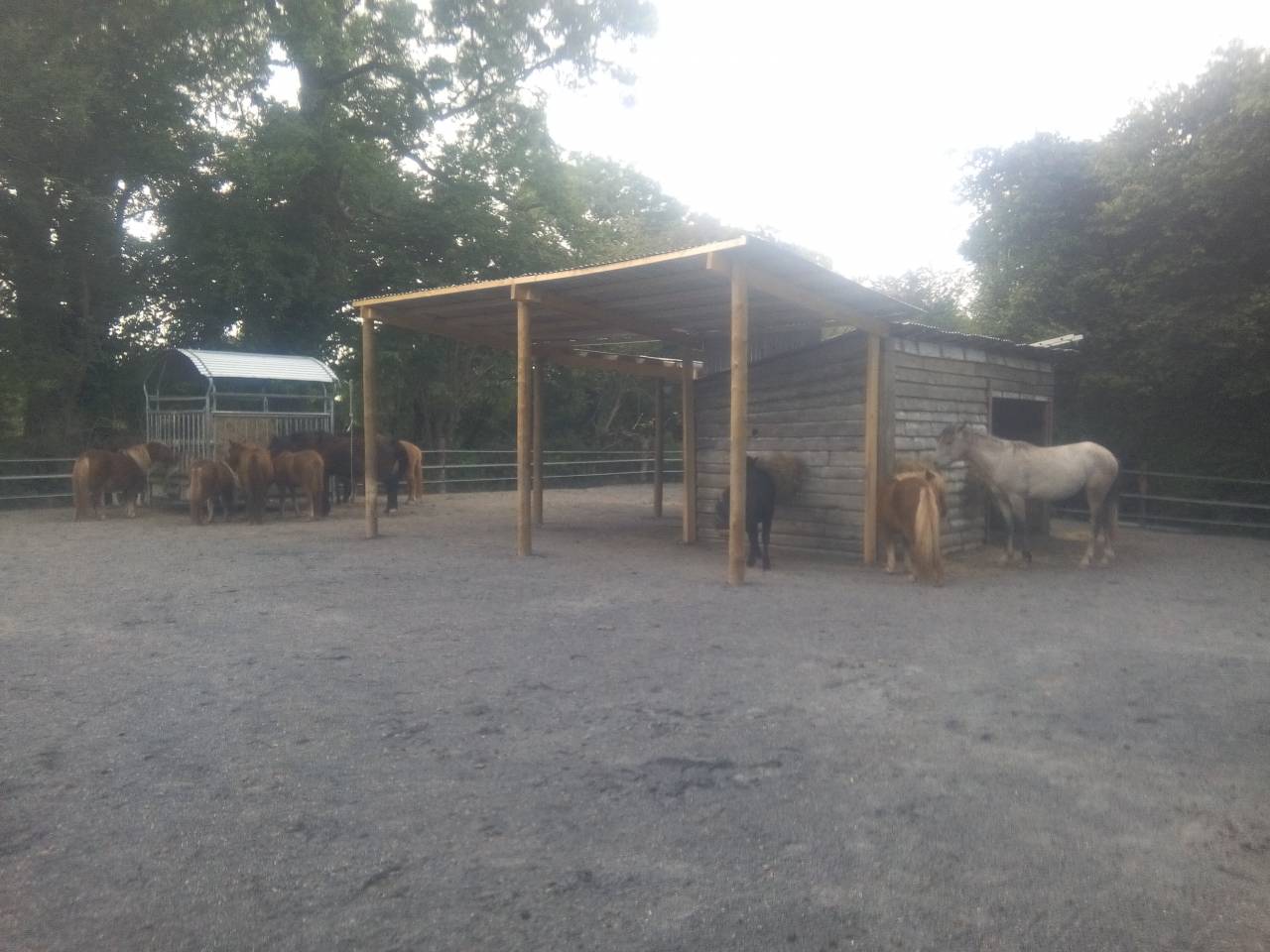 Proprietà equestre In vendita Manche