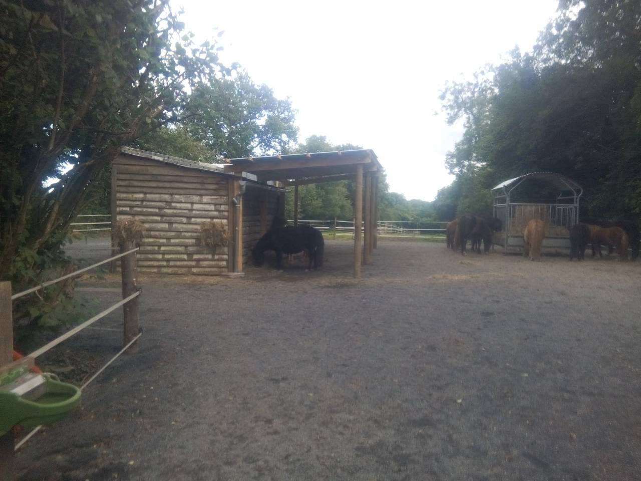 Proprietà equestre In vendita Manche