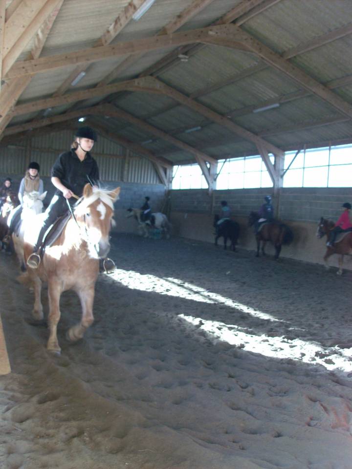 Proprietà equestre In vendita Manche