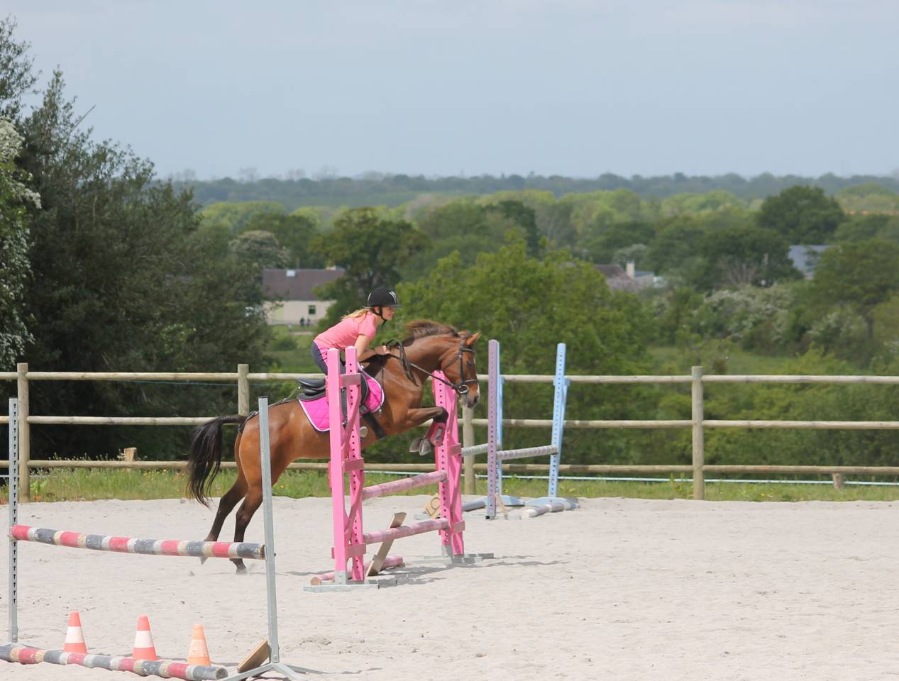 Proprietà equestre In vendita Manche