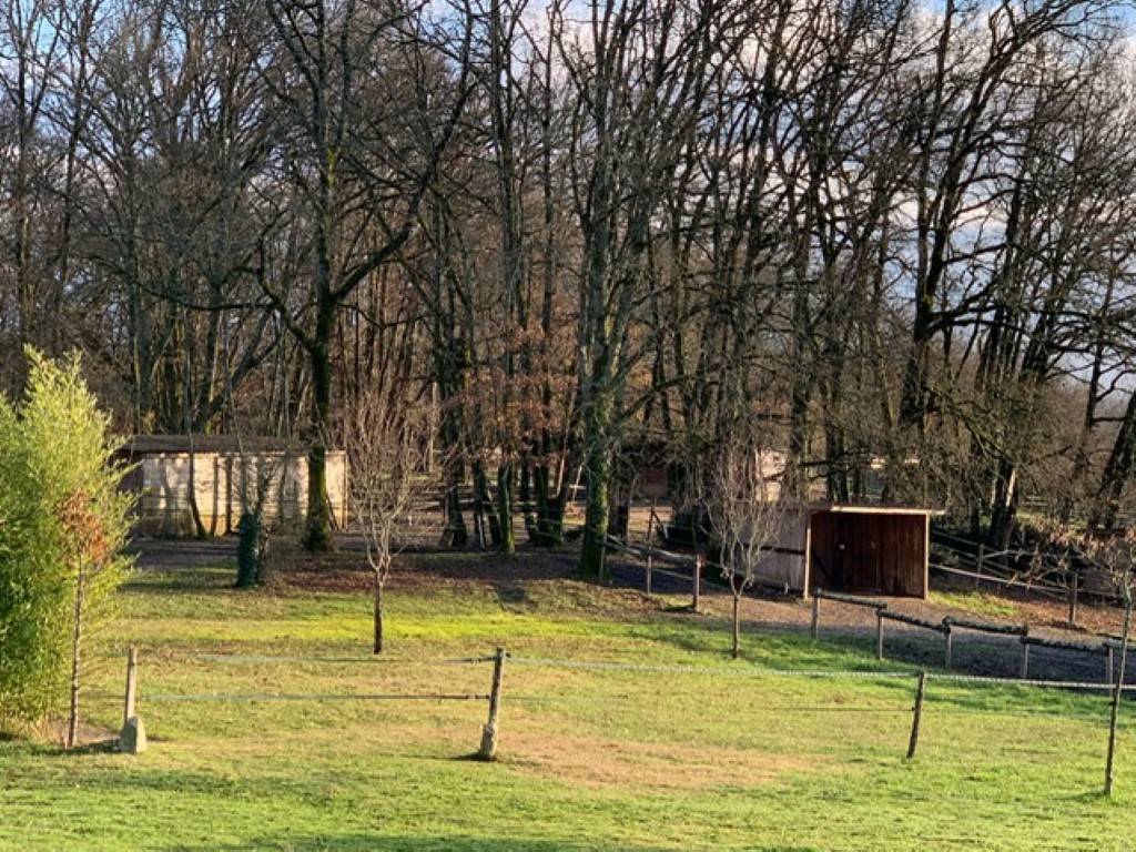 Bella dimora equestre In vendita Lot