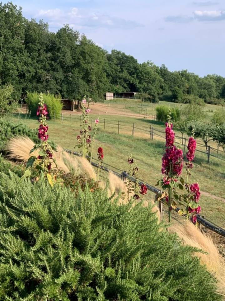 Bella dimora equestre In vendita Lot