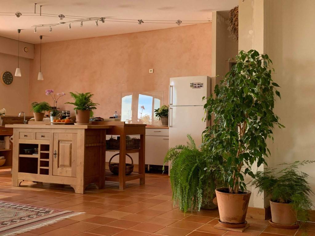 Bella dimora equestre In vendita Lot