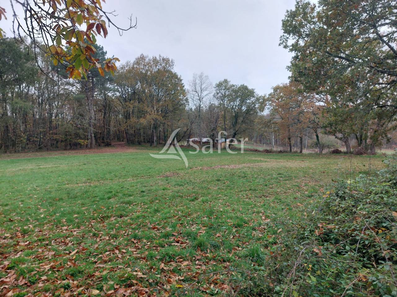 Azienda orticoltrice In vendita Dordogne