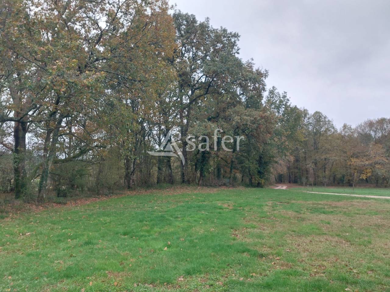 Azienda orticoltrice In vendita Dordogne