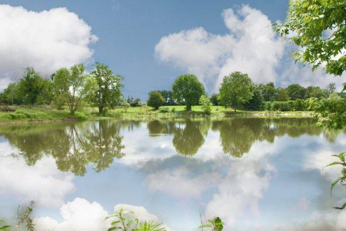 Proprietà equestre In vendita Ain