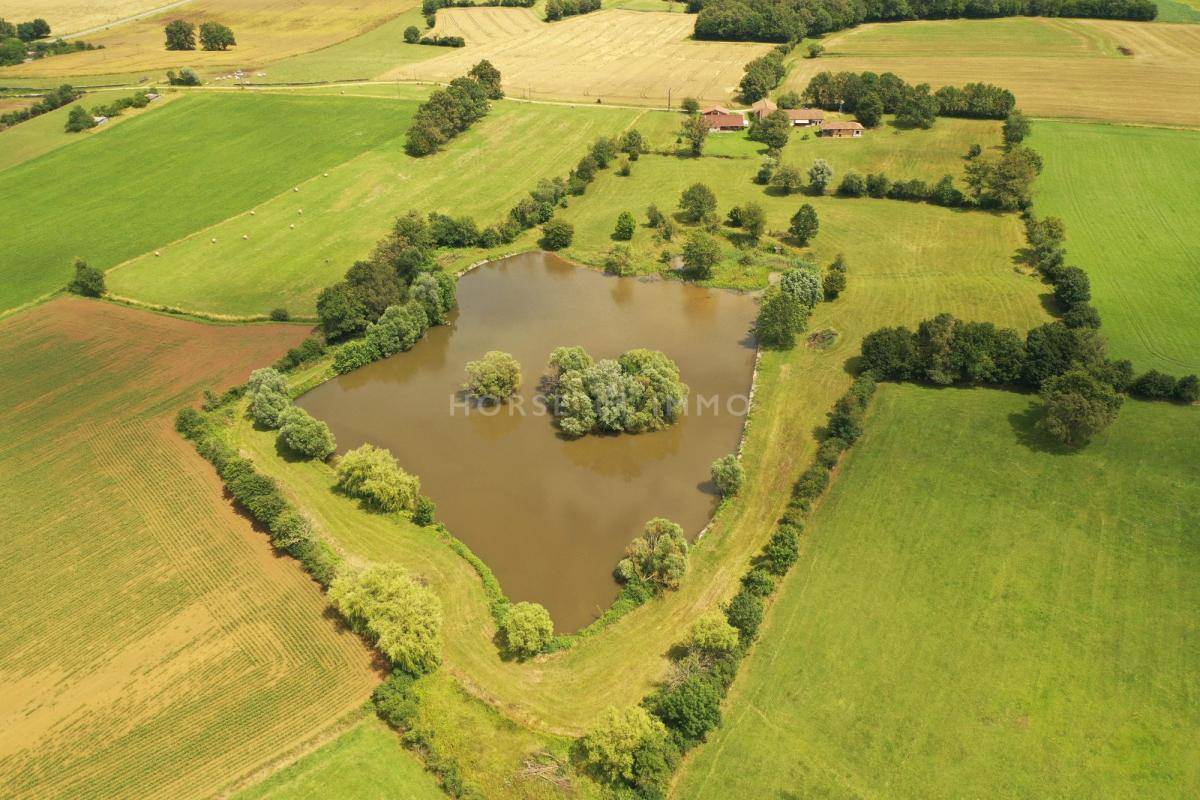 Propriet&agrave; equestre In vendita Ain