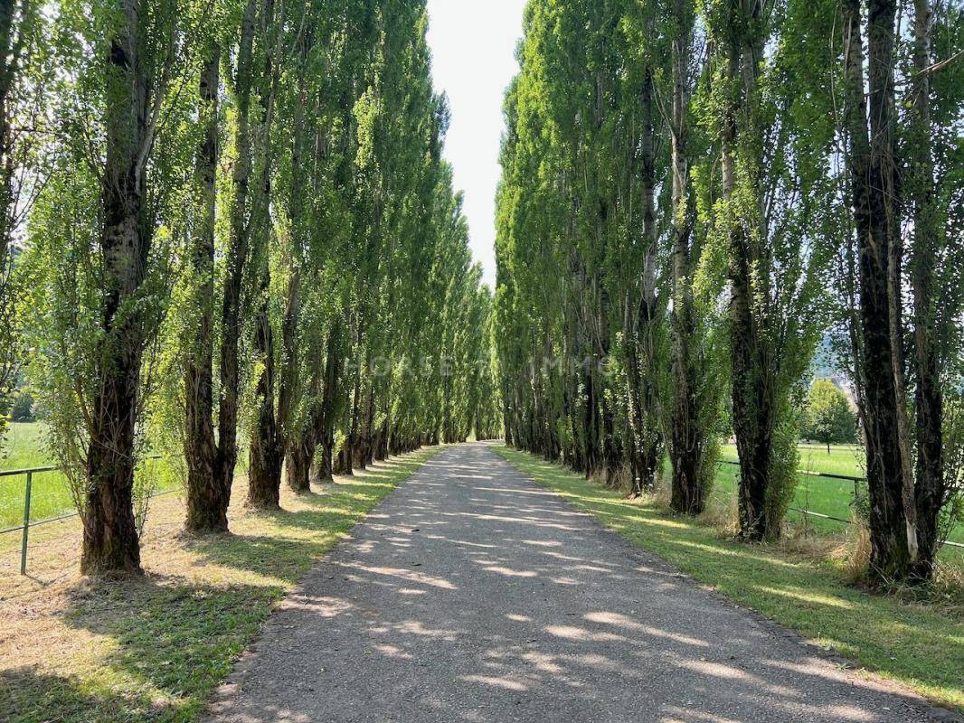 Bella dimora equestre In vendita Jura