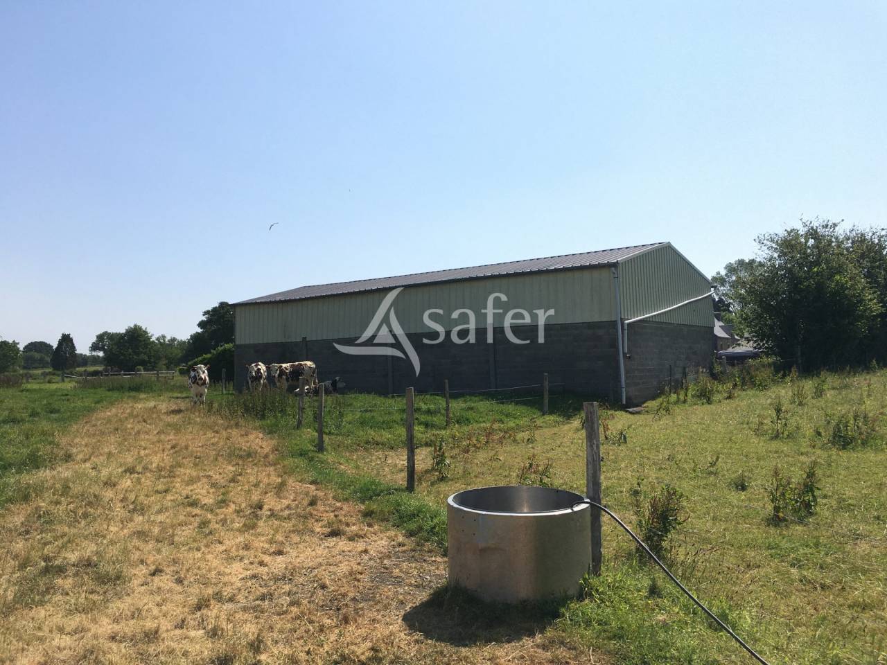 Proprietà equestre In vendita Manche