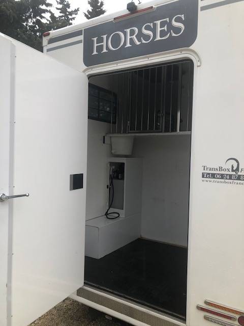 Van per Cavalli Trans Box Svelto 3 2020 Occasione