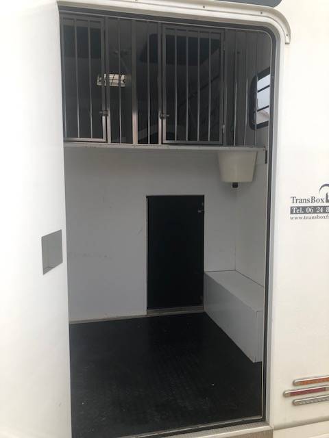 Van per Cavalli Trans Box Svelto 3 2020 Occasione