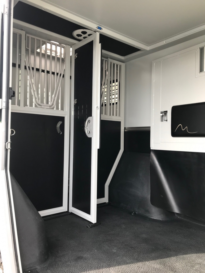 Van per Cavalli Renault Master 2019 Occasione