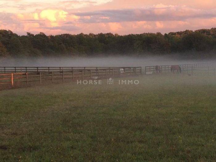 Centro di stagione cavallo In vendita Seine-et-Marne