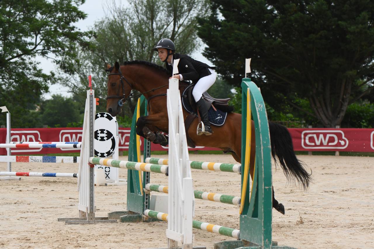 Intero New Forest Noleggio 2014 Baio