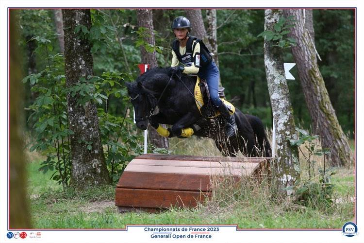 Green Bell Pepper d'Ash - Dartmoor 2016 ,  moortown storm