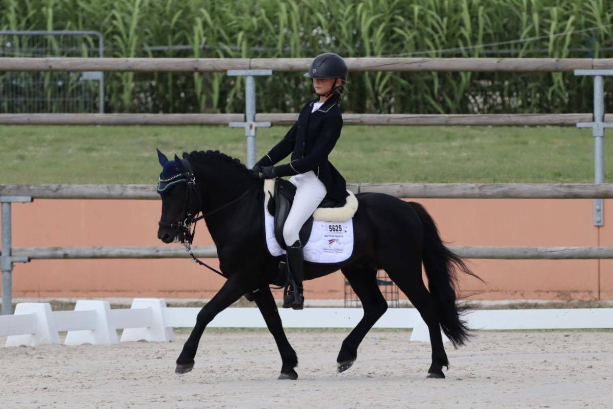 Green Bell Pepper d'Ash - Dartmoor 2016 ,  moortown storm