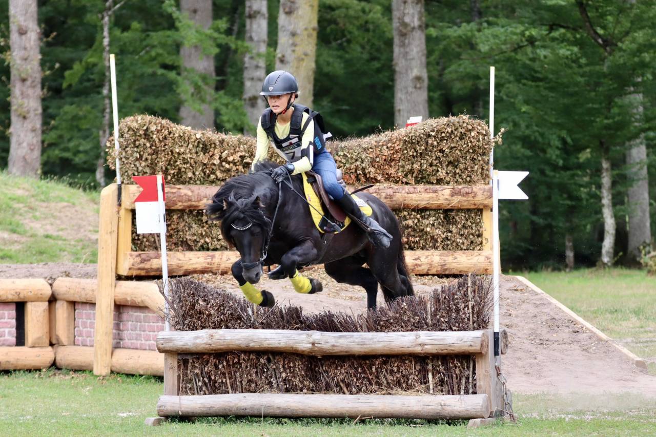 Green Bell Pepper d'Ash - Dartmoor 2016 ,  moortown storm